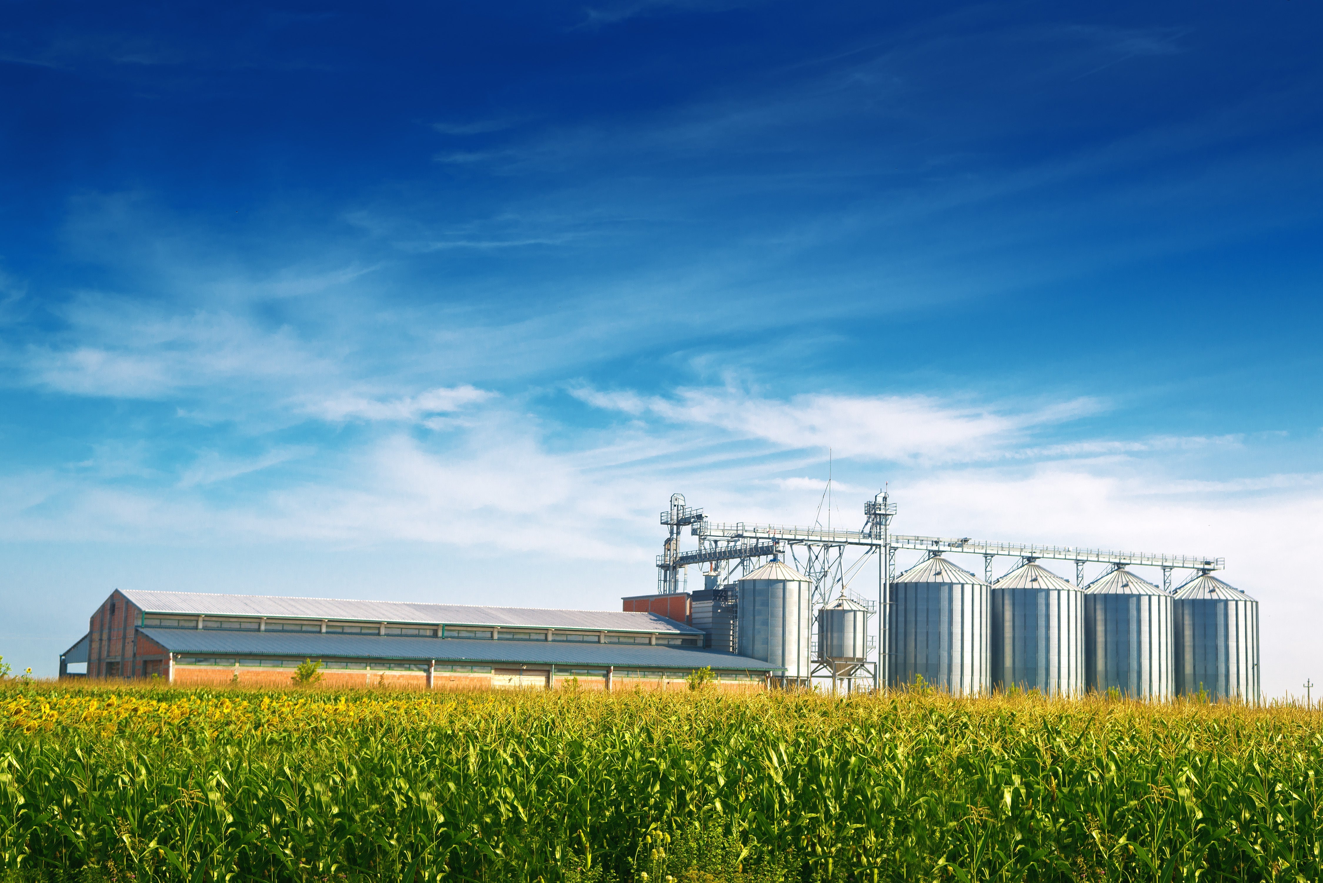 Precision Agriculture &amp; Remote Irrigation