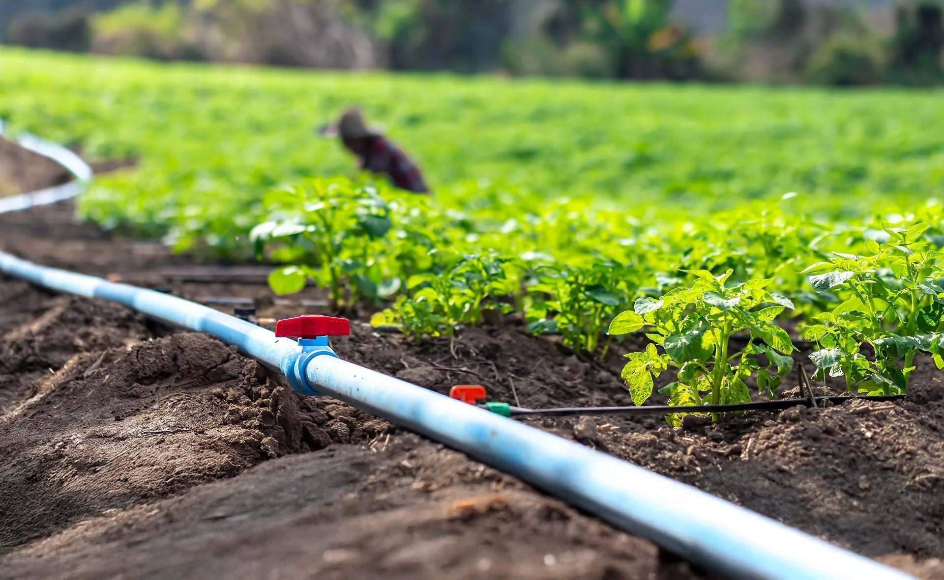 Automated Valves & Locks