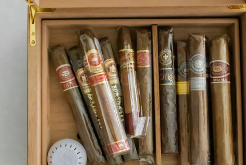 Garantizar las condiciones de almacenamiento más favorables