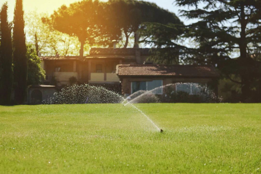 Maintaining a beautiful lawn has never been easier