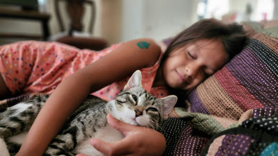 How Shelly Smart Home Devices Can Improve Your Sleep in 2025