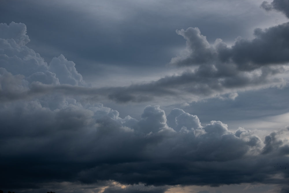 Storm & Safety Alerts