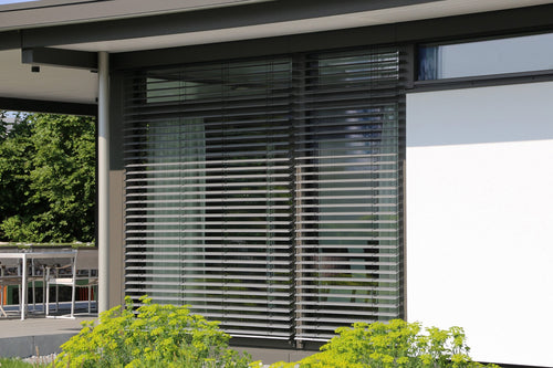Smart Blinds