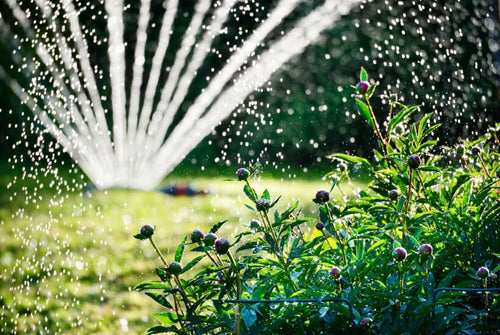 Automate your irrigation system for effortless gardening