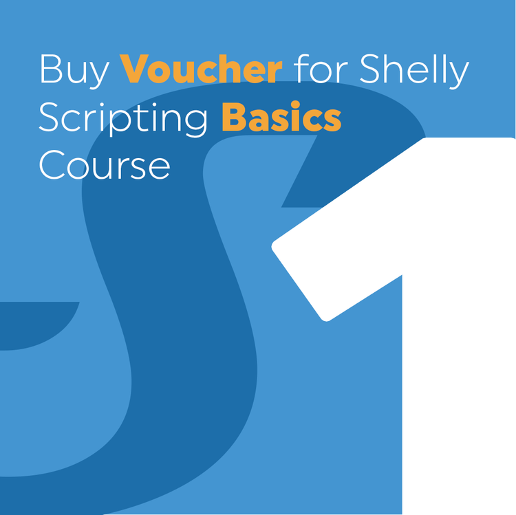 Shelly Scripting Basics course – Shelly USA