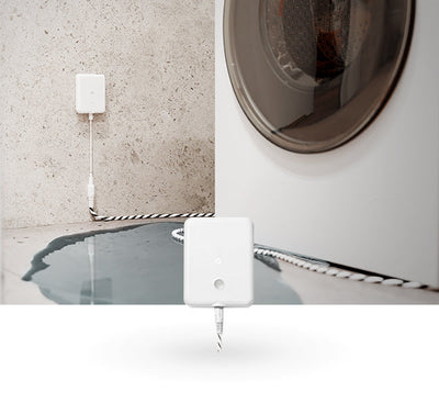 Shelly Flood Gen4 - hover image