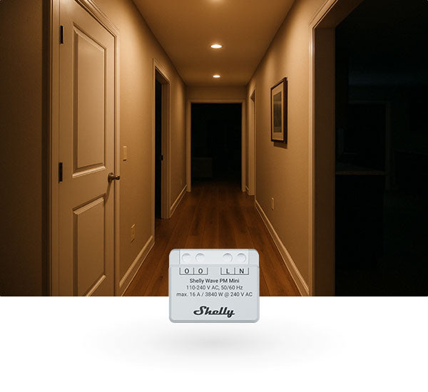 Shelly USA