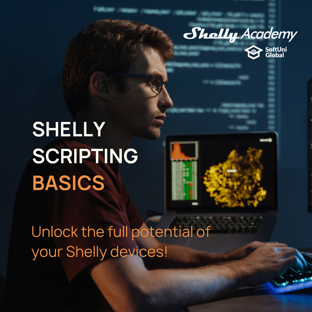 Shelly Scripting Basics course