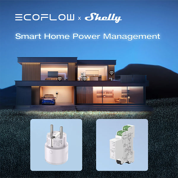 Shelly USA