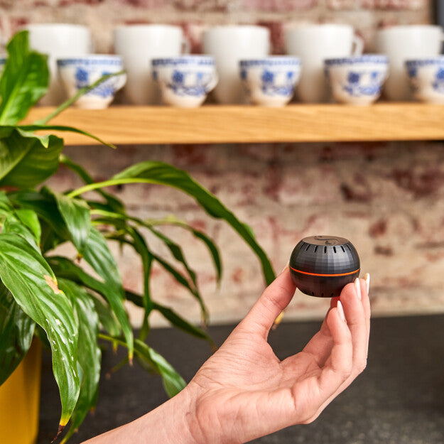 A hand holds the Shelly USA Shelly H&T Black, a compact round Wi-Fi humidity monitor, in front of shelves with white and blue-patterned teacups. A green leafy plant is visible on the left.