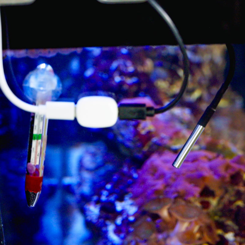 A close-up of the Shelly Europe Shelly Temp. Sensor DS18B20 with 3.5mm jack submerged in water, surrounded by colorful coral and marine life blurred in the background of the aquarium.