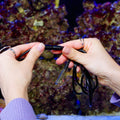 Two hands connecting a Shelly Europe Temp. Sensor DS18B20 with 3.5mm jack in front of a fish tank, reddish-brown rocks visible in the background.
