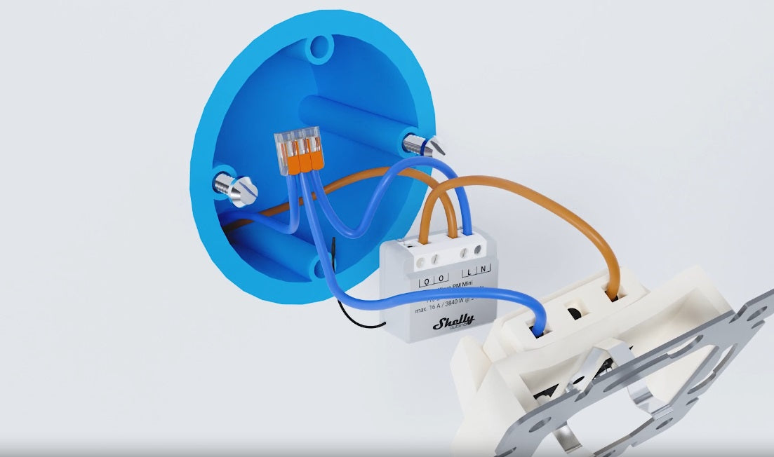 Shelly USA