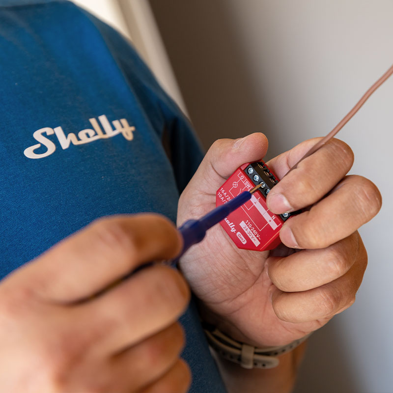 Shelly USA