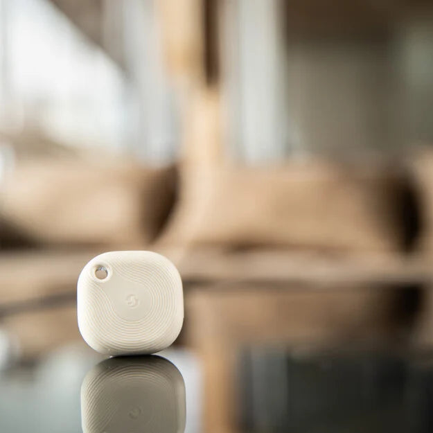 Shelly BLU Button Tough 1 ZB Ivory