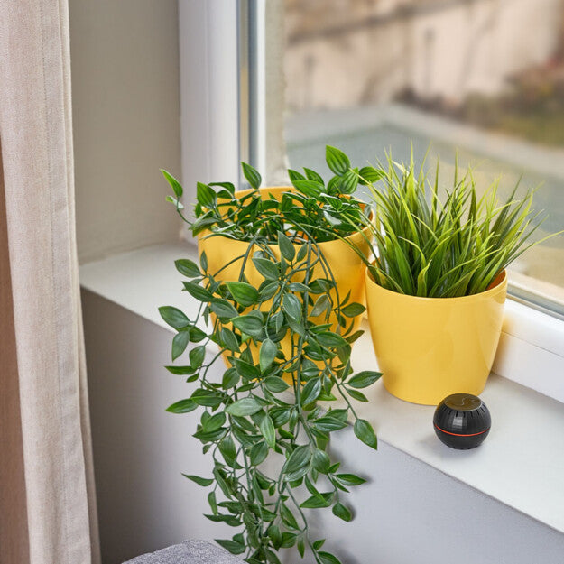Two yellow pots with green plants sit on a white windowsill beside a Shelly USA Shelly H&T Black Wi-Fi humidity monitor. Sunlight shines in, and a beige curtain is partially visible on the left.