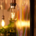 Shelly Vintage ST64 - Bulbs - Shelly USA